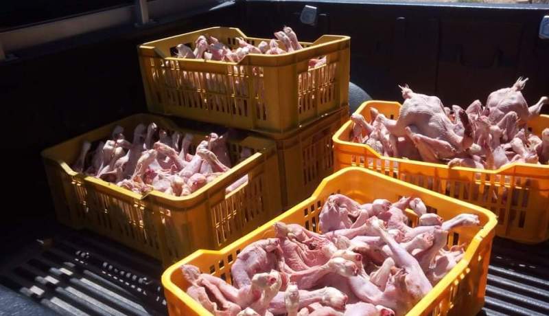 باتنة: حجز 75 كلغ لحم دجاج فاسد ببلدية اولاد سي سليمان