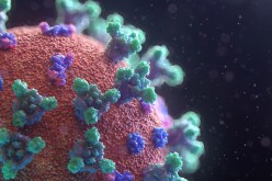 علماء يكشفون قرابة 200 طفرة جينية بفيروس كورونا