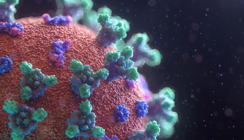 علماء يكشفون قرابة 200 طفرة جينية بفيروس كورونا