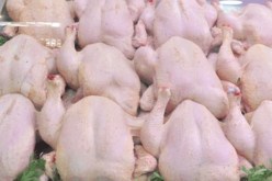 إخراج كميات معتبرة من الدجاج المجمّد لكسر الأسعار في السوق