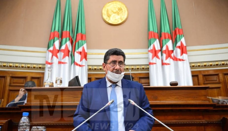 عماري: إنطلاق عمل ديوان الفلاحة الصحراوية الموسم القادم