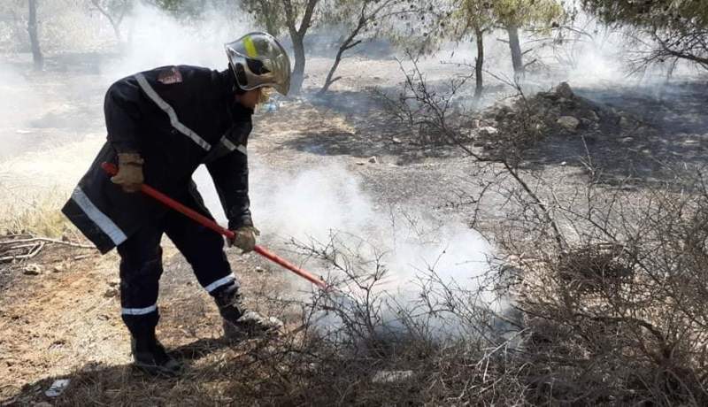 غليزان: إخماد حريق أتلف 4 هكتارات من الأحراش و200 شجرة من الصنوبر والكاليتوس بغابة سيدي عبد القادر
