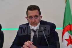 وزير الفلاحة: تقليص إستيراد القمح هذه السنة