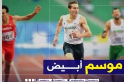 رسميا.. إتحادية ألعاب القوى تعلن إلغاء الموسم