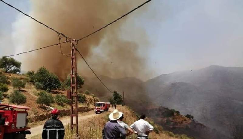 البويرة: الحرائق تتلف عشرات الهكتارات من الأراضي