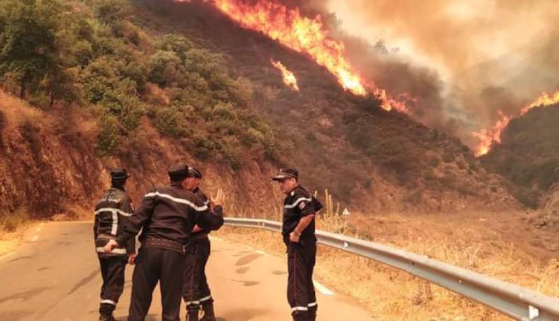 عين الدفلى: حريق عين النسور يتلف 1680 هكتار من الأراضي