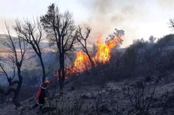 إندلاع حريقين مهولين في غابتي بوذا وبوهالي بالشلف