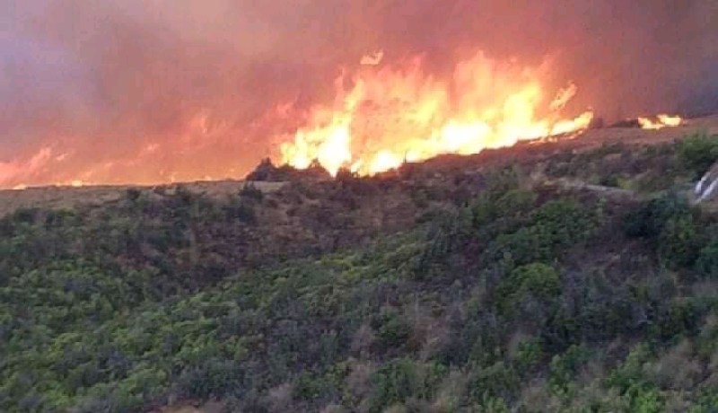 تواصل عملية إخماد حريقي البعاديد وبعدوس في الشلف