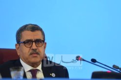 جراد: سيكون أوّل نوفمبر حفلا تاريخيا لتكريم كل المثقفين والعلماء الجزائريين
