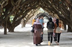 بولحية.. تحديد عدد زوار حديقة الحامة وكمامة اجبارية للدخول