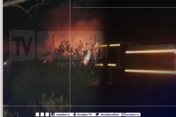 بالصور.. حريق مهول بغابة تنس