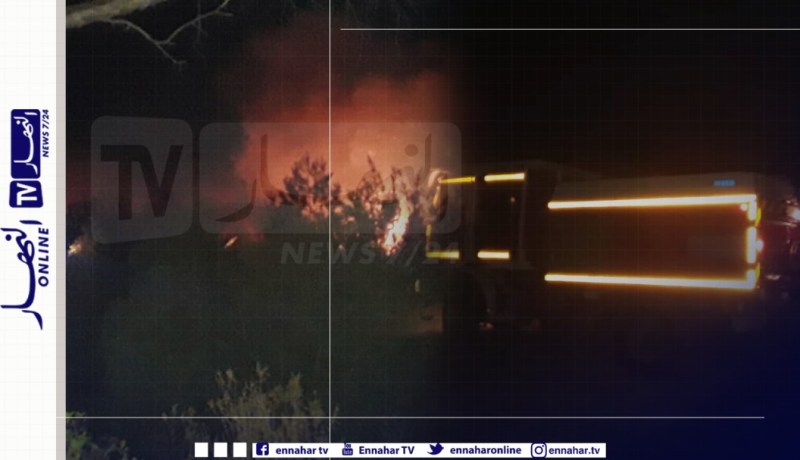 بالصور.. حريق مهول بغابة تنس