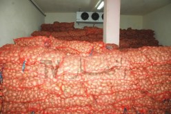 لجان تفتيش ومراقبة لمعاينة غرف التبريد المخزنة للبطاطا لموسم 2019/2020