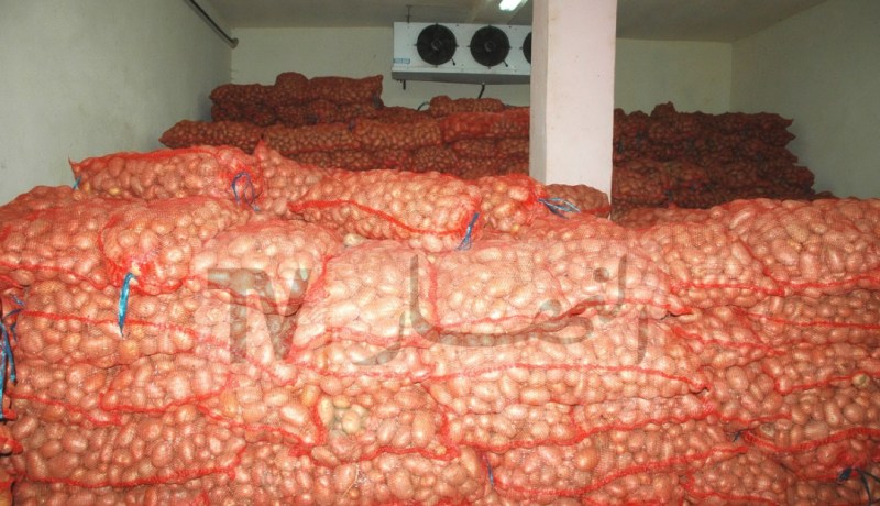 لجان تفتيش ومراقبة لمعاينة غرف التبريد المخزنة للبطاطا لموسم 2019/2020