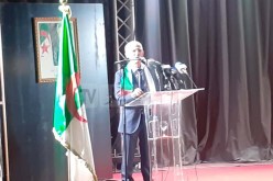 وزير الصناعة: تعديل الدستور جاء لإصلاح الإنحرافات التي حدثت طيلة عشرين سنة مضت