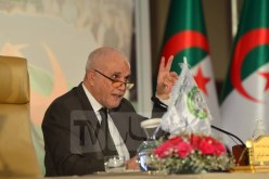 شرفي: نسبة 23 بالمائة حقيقية.. واليوم إكتسبنا دستور حلال ونزيه