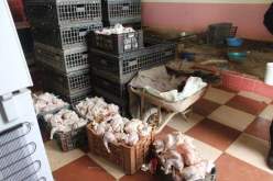 الشلف: أمن أولاد فارس يحجز أزيد من قنطار ونصف من الدجاج الفاسد