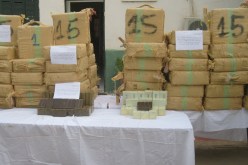 حجز 14 قنطارا من «الكيف» مموّهة بصناديق الزيتون مهرّبة نحو البليدة!