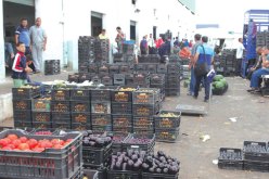 توفير أسواق التجزئة والجملة هدفها القضاء على الأسواق الموازية وضمان استقرار الأسعار