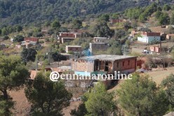 بدوي: ارتفاع الطلب على السكن الريفي يعكس جهود الدّولة لإعمار المناطق الرّيفية