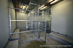 جنوب إفريقيا تبني سجونا للجزائريين في المونديال‮‬