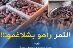 بالفيديو ..لهذا السبب يشهد التمر ارتفاعا فاحشا في أدرار