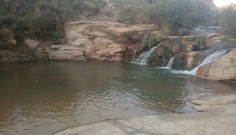 أراد ان ينقذ فتاة من الغرق ببركة مائية  في الأغواط فغرقا الاثنين