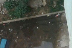 قاطنو عدل في عنابة :”أنقذونا من القذارة”