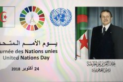 الأمم المتحدة تثني على الجزائر