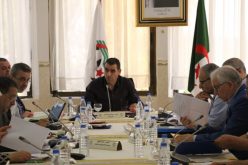 الفاف تُهنئ الأندية الجزائرية المُتوجة والصاعدة