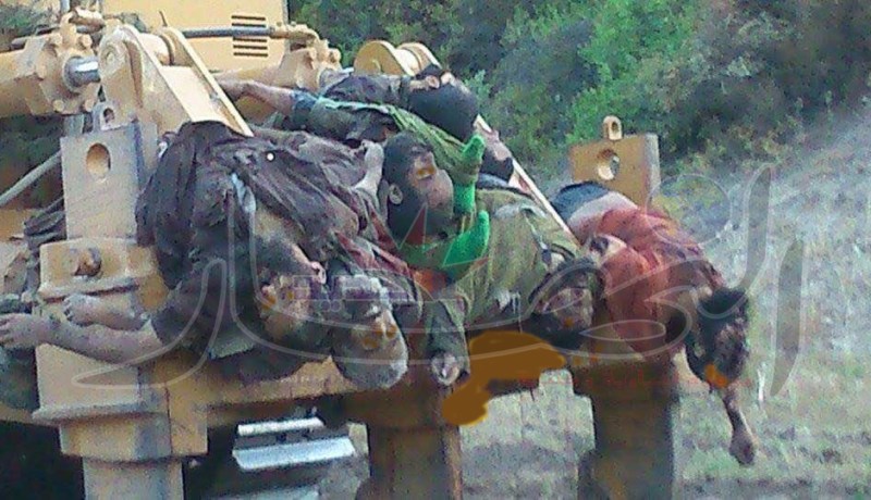 بالصور… شاهد الارهابيين الذين تم القضاء عليهم في المدية