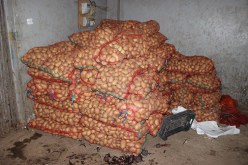 بارونات خططوا لتجويع الجزائريين لـ 3 أسابيع