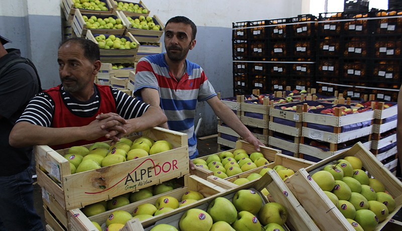 المافيا ترفع أسعار التفاح لاستيراده من فرنسا