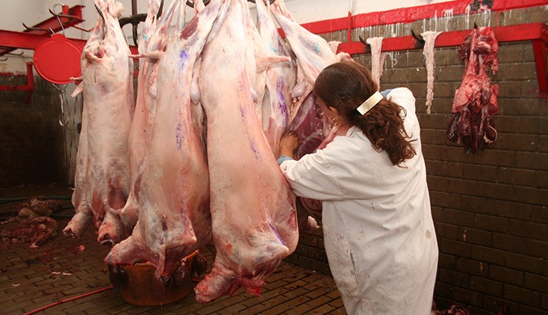 الـدولة تحتكر توزيع اللحوم عـلى الجزّارين