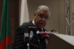 قيتوني ..”سونلغاز” ليست للبيع