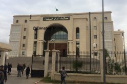 عام حبسا لبرلمانية بتهمة التستر عن جريمة قتـــل ابنهـــا باستعمـــال مسدسهــــا