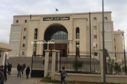 10 سنوات لمتصرف إداري هاجم طليقته بساطور انتقاما من خيانتها له قبل 4 سنوات في العاصمة