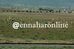 بوعزقي: 3 ملايين هكتار من الأراضي غير مستغلة