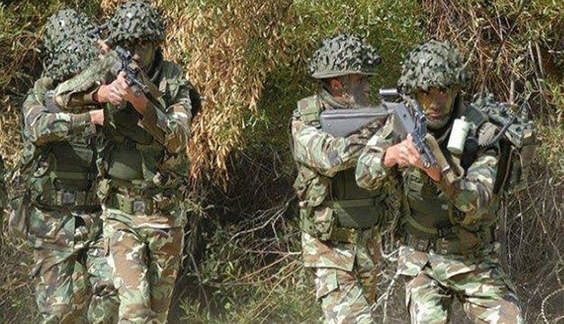 الجيش.. يقضي على 5 إرهابين ويوقف 5 آخرين خلال جانفي