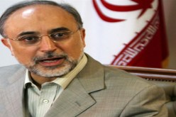 صالحي يدعو الى ضرورة ايجاد تسوية سلمية للقضية السورية بعيدا عن التدخلات الخارجية