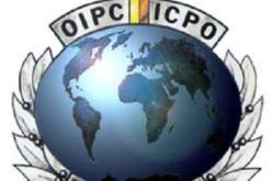 سيارات مهربة من دول الاتحاد الأوربي تجوب العاصمة بملفات وأرقام تسجيل مزورة