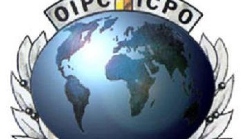 سيارات مهربة من دول الاتحاد الأوربي تجوب العاصمة بملفات وأرقام تسجيل مزورة