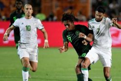 منتخب زامبيا يباشر تحضيراته لمواجهة الخضر