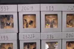 هذه أسماء المقاومين الشهداء الذين جلبت الجزائر جماجمهم