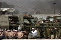 الاحتلال يعتقل 12 مواطنا ويعيد إغلاق بوابات المسجد الأقصى