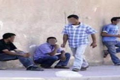 توزيع قرابة 190 محلا مهنيا على الشباب البطال  بتيسمسيلت