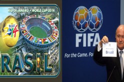 بلاتير: البرازيل ستنظم مونديالا رائعا  في 2014