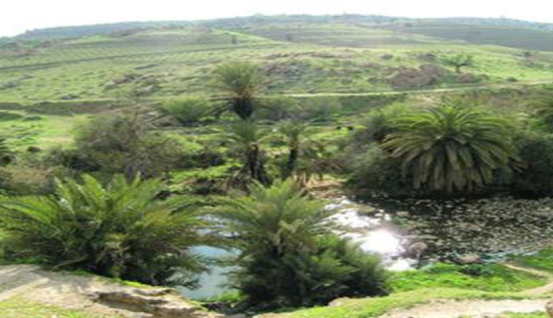 مبادرة لتحسيس تلاميذ المدارس بأهمية المناطق الرطبة بالطارف