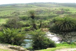 مبادرة لتحسيس تلاميذ المدارس بأهمية المناطق الرطبة بالطارف