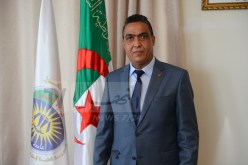 المدير العام لإدارة السجون: نهدف إلى تشغيل 3 آلاف محبوس في الأراضي الفلاحية